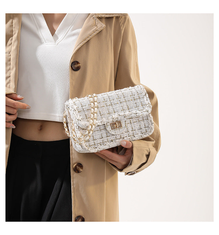 Woven Luxury Mini Handbag